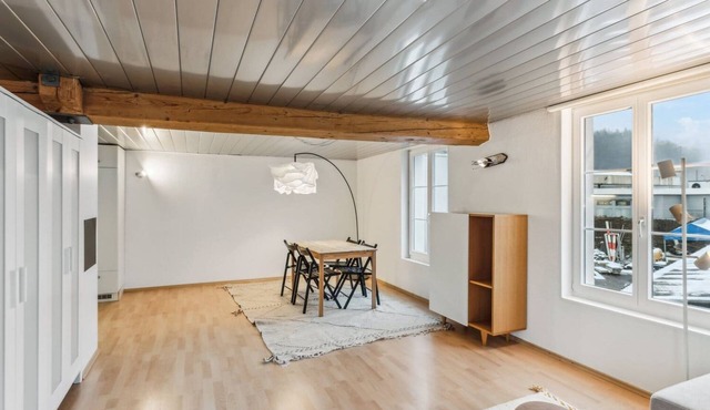 Cozy Studio Charm Sum in Dietikon
