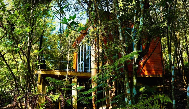 Fantail Bush Chalet, bush and golf on your doorstep! in Wainui
