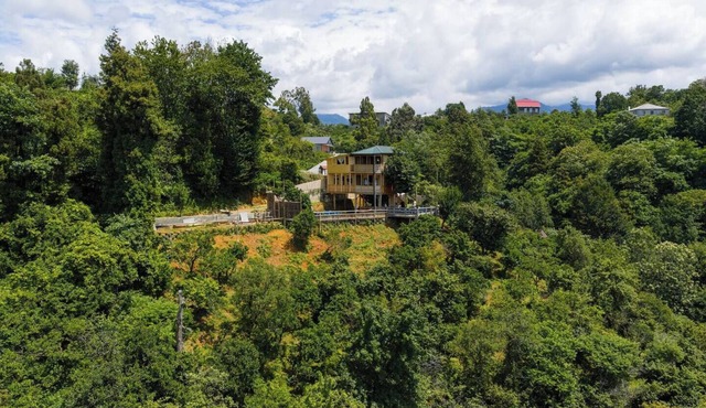 GoldenSeaView TreeHouse with Small Private Pool