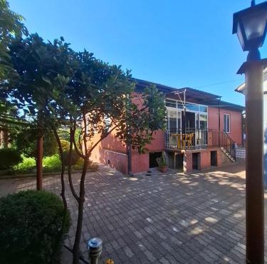 Grigoleti, Iliko Home