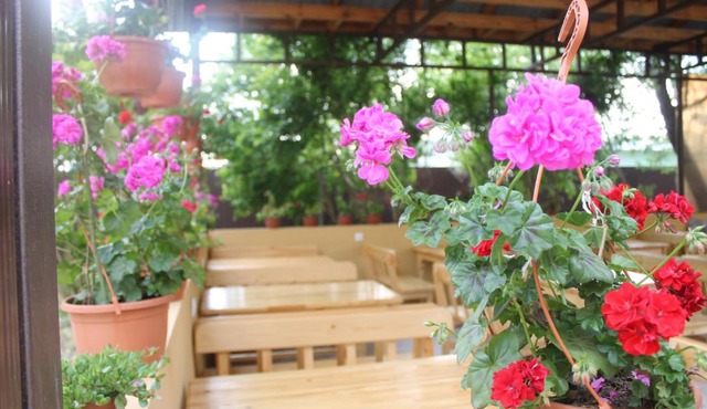 Guest house Black Sea