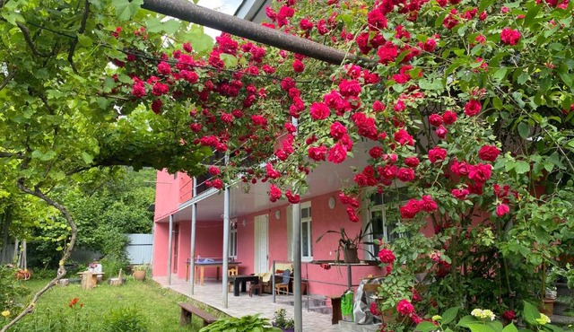 Guest House Mukha