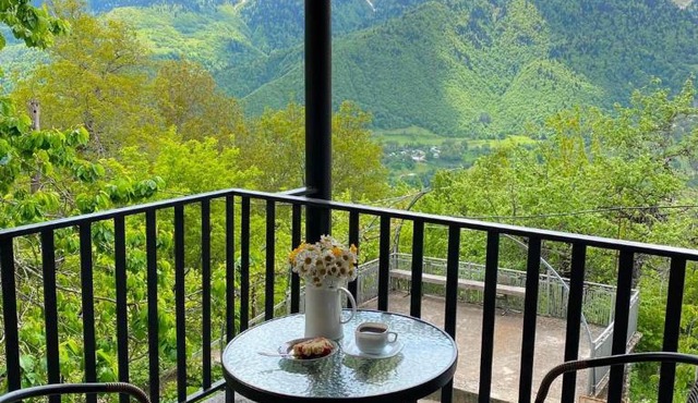 Guesthouse in Lankhvri