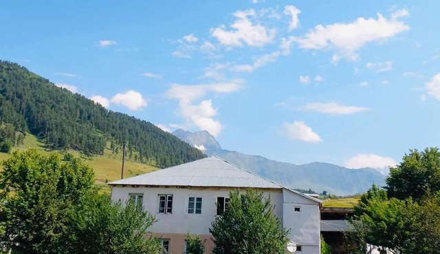 Guesthouse LALI GULEDANI in Tsvirmi