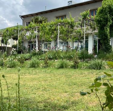 Hotel Villa DavidL in Sagarejo