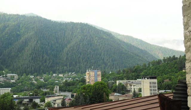 House in Borjomi