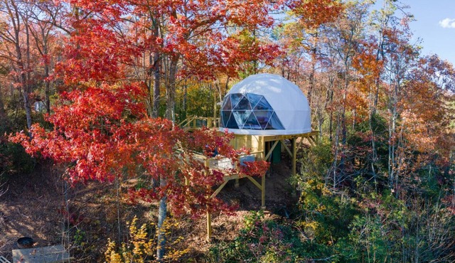 Hummingbird Dome | Private Sauna and Hot tub in Balsam Grove
