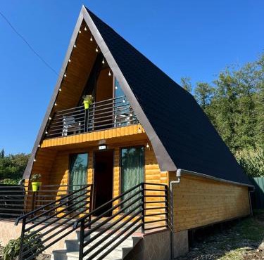 Hunter's Cabin in Salkhino
