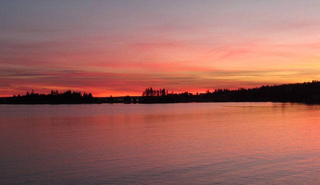 Idyllic, sparkling clean ocean/beach cottage for your spontaneous getaway. in Black Point