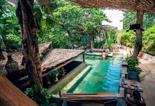 Jungle Sanctuary Wellness Retreat w Pool Bar Spa in Tulum