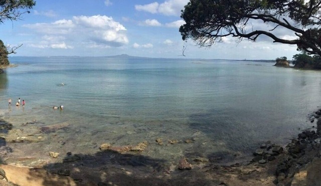 LARGE TORBAY HOME: Short walk to two beaches in North Shore