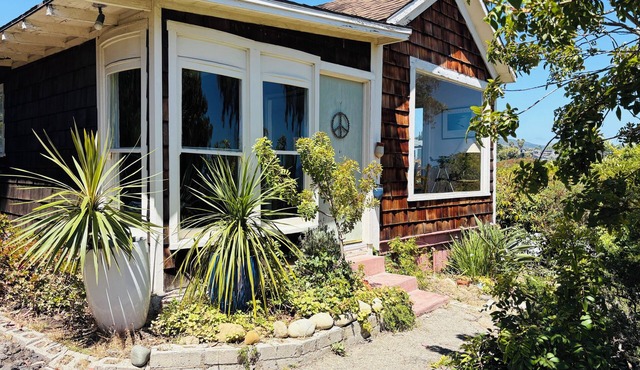 Lillie’s Oceanview RUSTIC Boho Surf Cottage Steps to the beach & fun! in Summerland