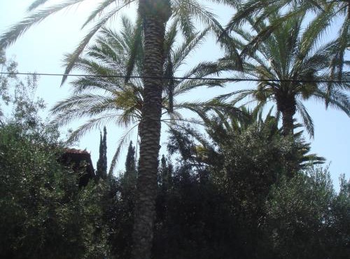 Lisa's Farm Place in Rishon LeẔiyyon