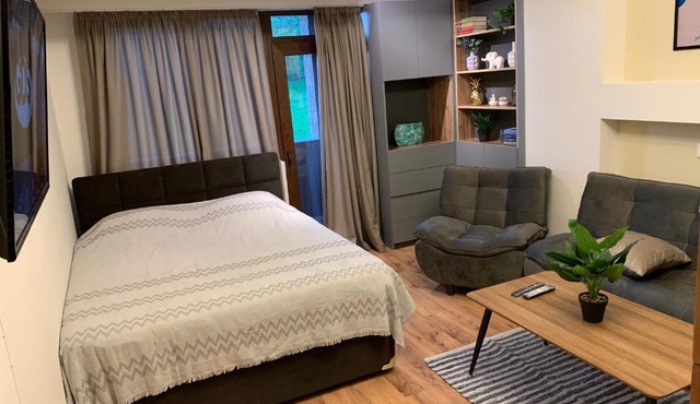 Modern apartment in Bakuriani, K2 Complex