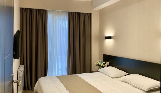 Mountain view, delux designer decorated suite in Bakuriani’s 4* resort in Bakuriani