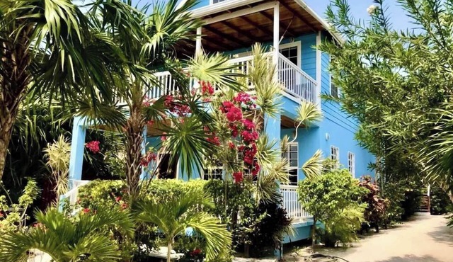 Oceanfront Unit w/dock/pool/AC-free paddle boards -2 bed, 1 bath sleeps 6 in Caye Caulker