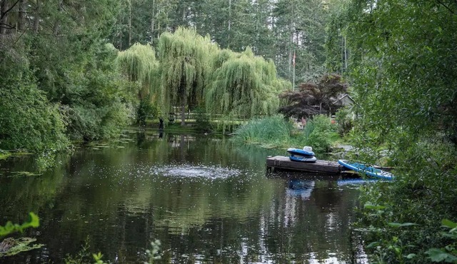 Peaceful 1 BR Hideaway on 1 Acre w/Pond, Near Ferry, Airport & Nature in North Saanich