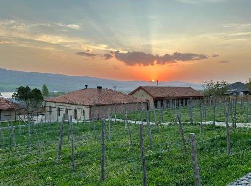 Peradze Wine Cellar Vineyard Cottages