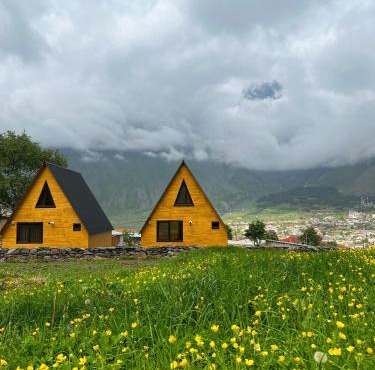 Pine Chalet Kazbegi