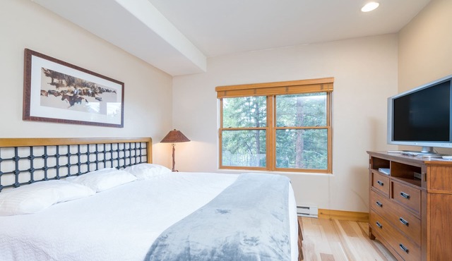 Quiet and Pet-Friendly Lock-Off Room at the Bear Creek Lodge in Mountain Village