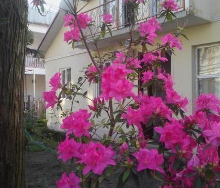 Rimma's Place