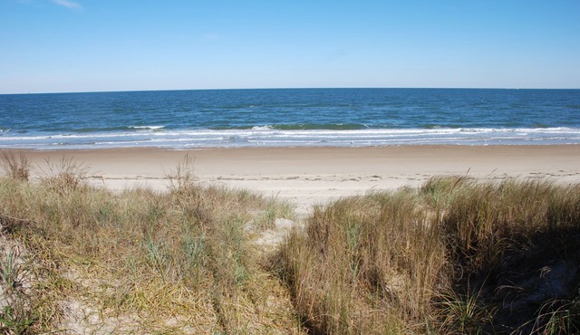 Rustic Beach Front Apartment - Cozy, Rustic and On the Beach! - 2 BR/1 Bath in Norfolk