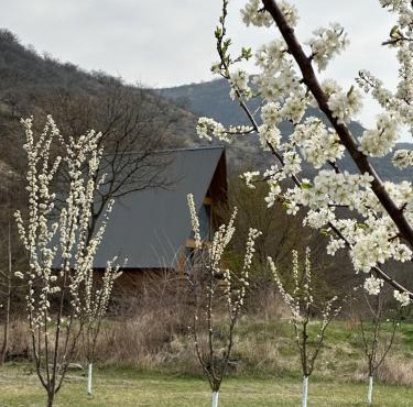Samshvilde Hideaway in Daghetʼkhachʼini