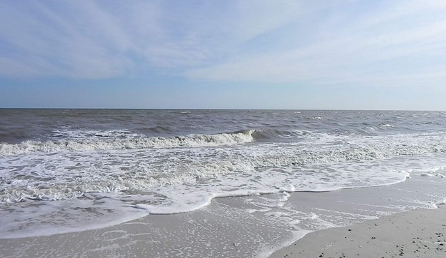 Serenity Beachfront Condo at Cape San Blas in Port St Joe