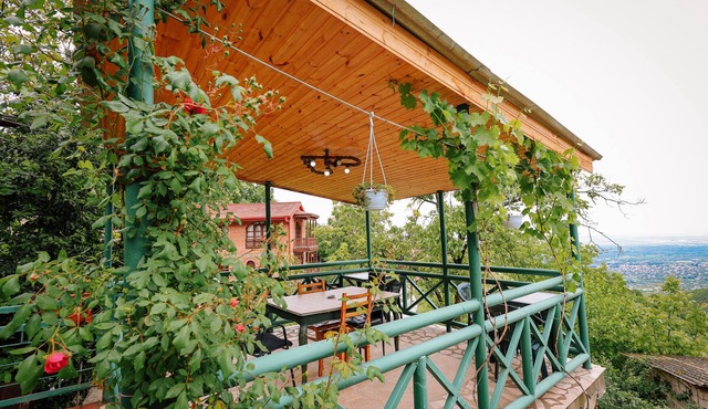 Sighnaghi view house