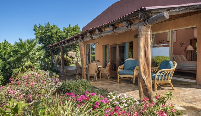 Spectacular Ocean View, Peace, Beauty, And Relaxation two to five guests in Kamuela