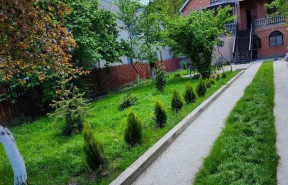Surami Guesthouse