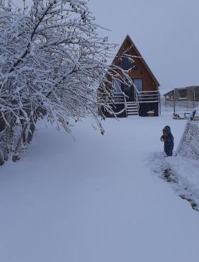Thomas' Hut in Kazbegi