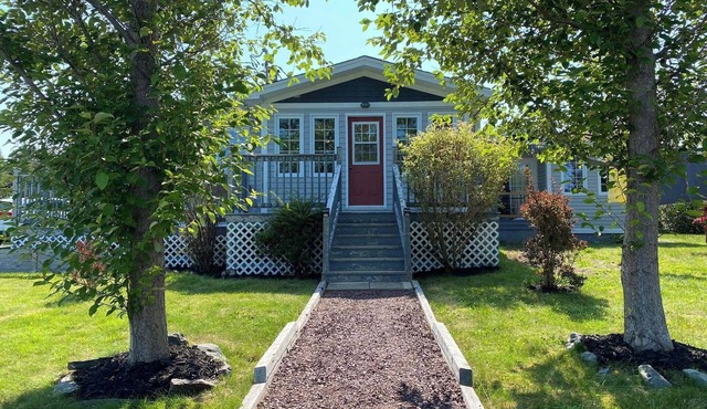 Tranquil Harbourview Cottage: Oceanfront Escape in Green's Harbour, NL in Green's Harbour