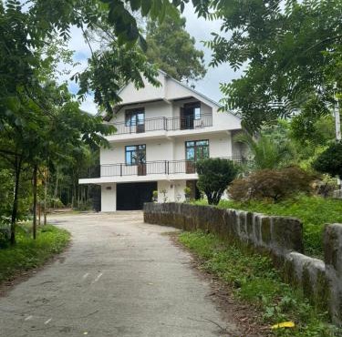 Vitishvis House