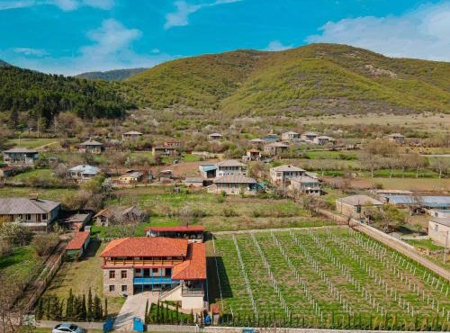 Winery Matisi