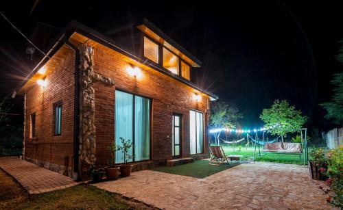 WoodStar/ტყის ვარსკვლავი in Ambrolauri