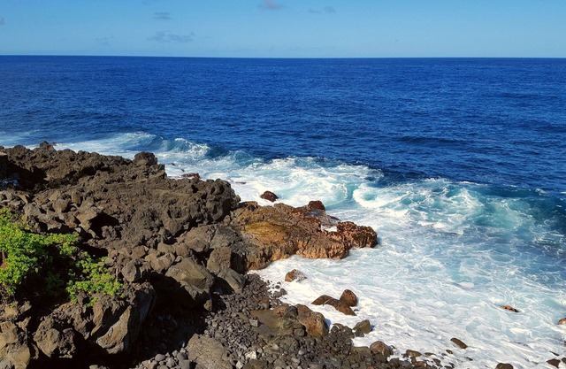 Aloha Ohia Hale 