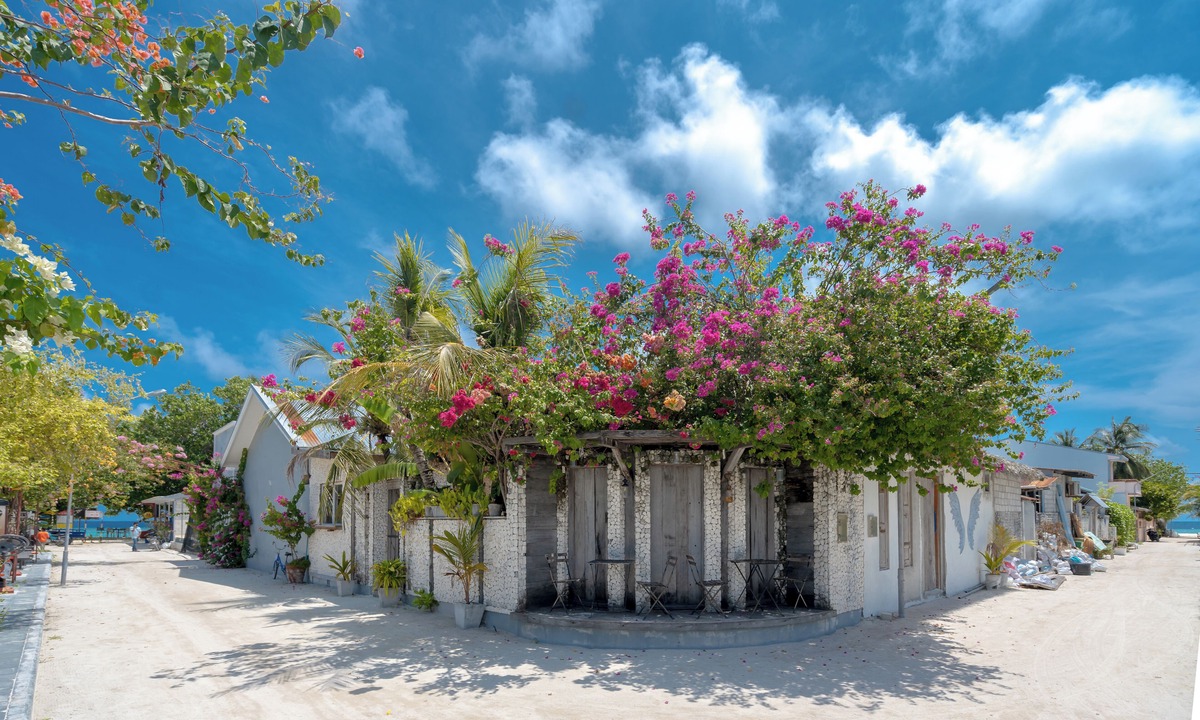 Rasdhoo House | Brickwood Shoreline