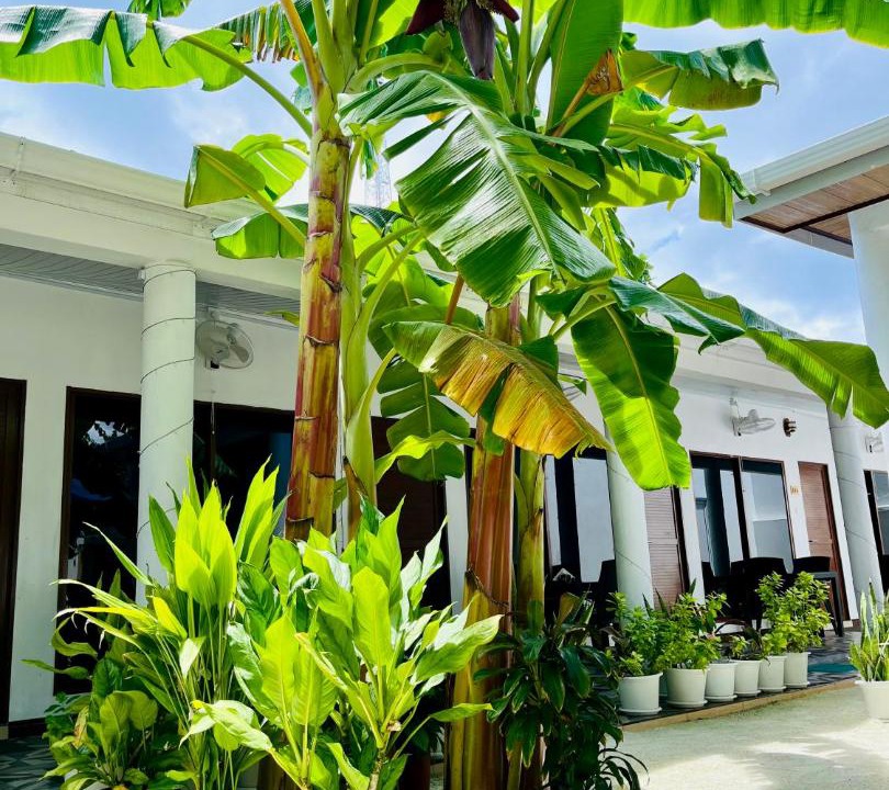 Thoddoo Hotel | Celeste Thoddoo Maldives
