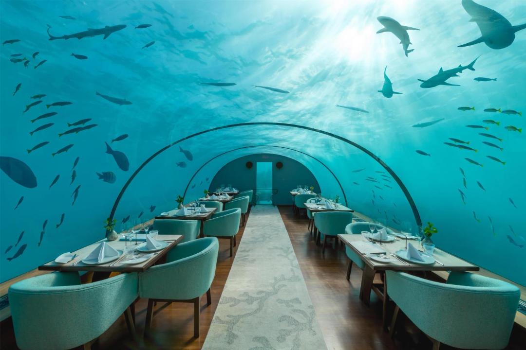 Rangalifinolhu Resort | Conrad Maldives Rangali Island