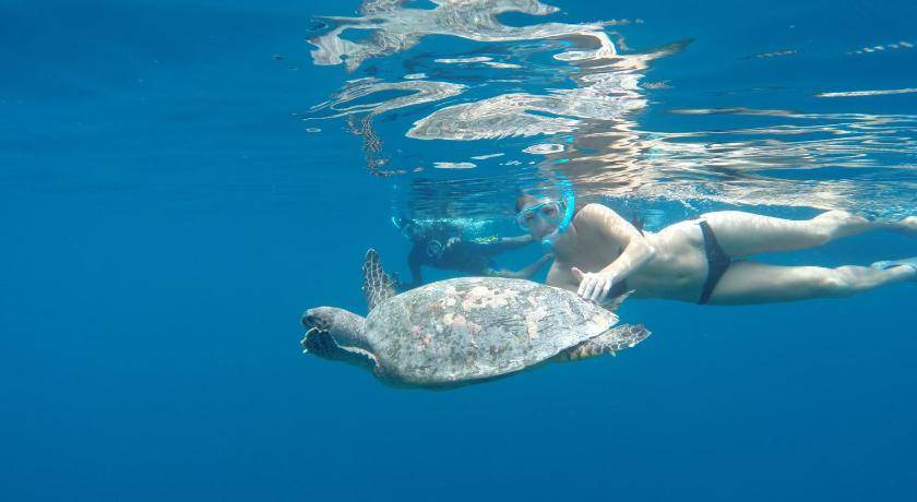 Photo of Others in Maafushi