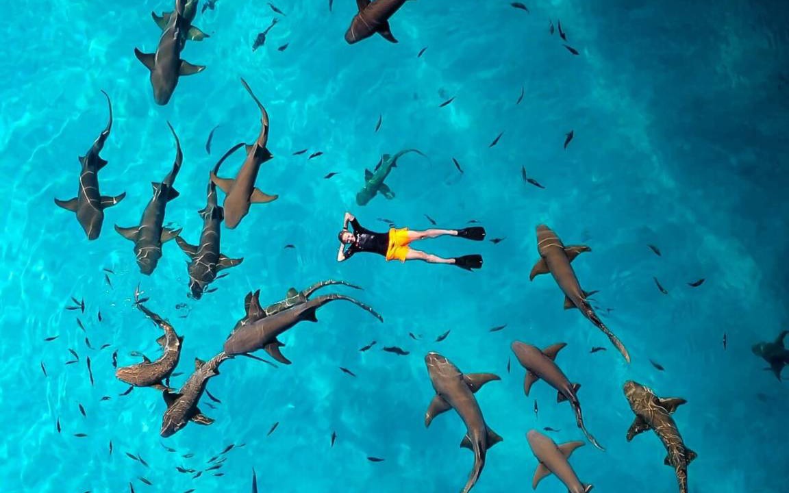 Photo of Others in Fulidhoo