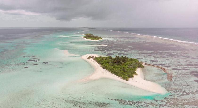 Photo of Others in Thimarafushi
