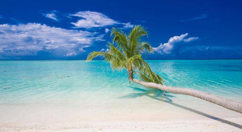 Photo of Others in Thimarafushi