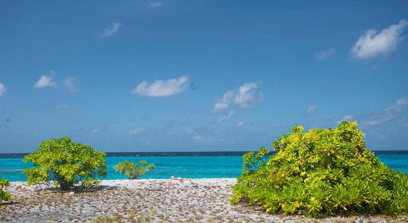 Photo of Others in Thimarafushi