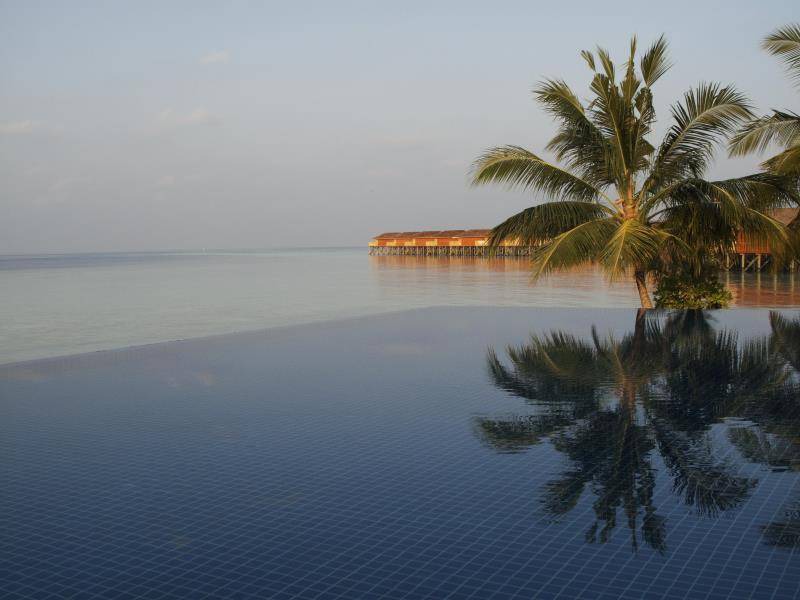 Photo of Others in Vilamendhoo Island