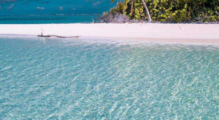 Photo of Others in Thimarafushi