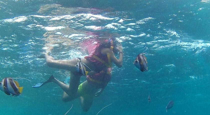Photo of Others in Maafushi