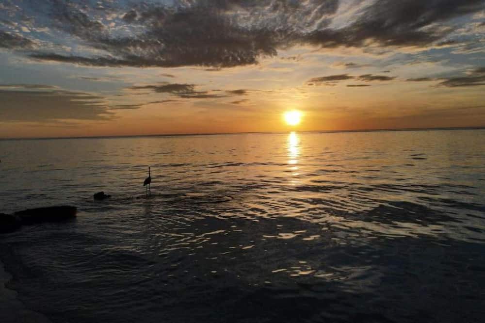 Photo of Others in Felidhoo