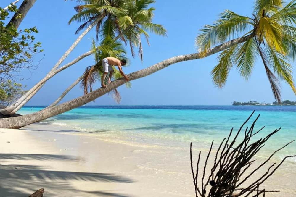 Photo of Others in Felidhoo